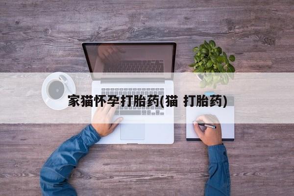 打胎药的微信联系方式家猫怀孕打胎药(猫 打胎药)